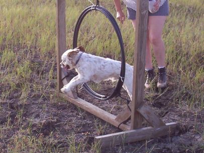 The Great Flying Frankie