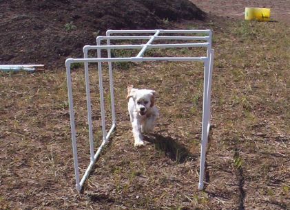 Frankie Crawless Crawl Tunnel