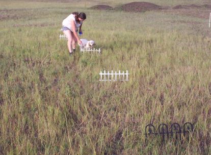 Frankie Fence Hurdles