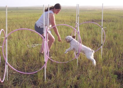 Frankie Hoop Jump Tunnel