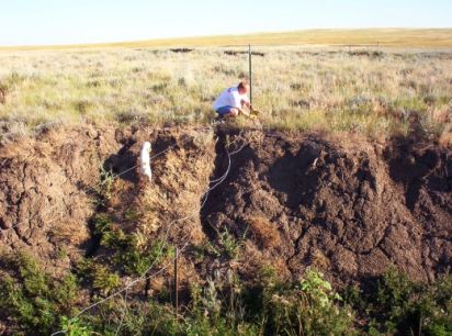 Frankie Hill Crosstraining