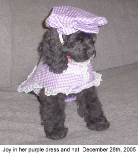 joypurpledress 2005-12-28.jpg