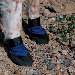 Cordura Dog Booties