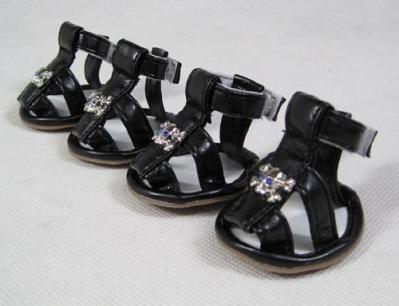 dog sandals