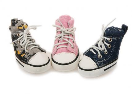 Dog Sneakers