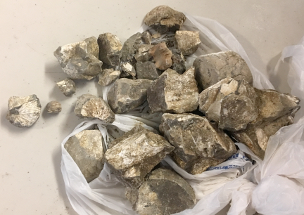 Bicycle Fossil Hunt Haul 2017-05-26