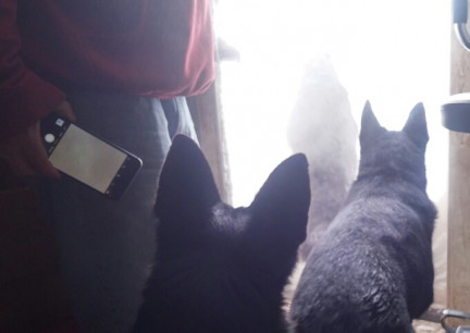 Snowmagden Enting the Blizzard