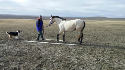 Deron Training d'Artagnan with Raya 2015-11-10