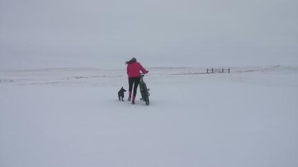 Tabaliah First Day Training 2017-01-01