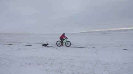 Tabaliah Bicycle Buddy Training 2017-01-01