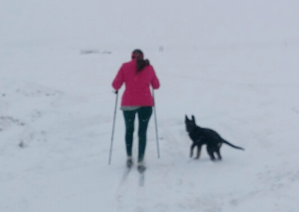 Marna CC Skiiing with Tabaliah 2017-01-23