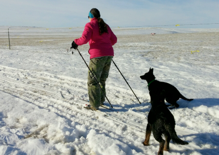 Marna Cross Country Skiing 2017-01-29