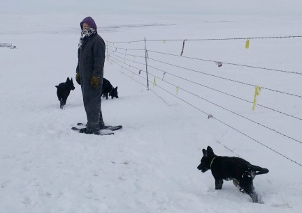 Deron Snowshoeing with GSD 2016-12-27