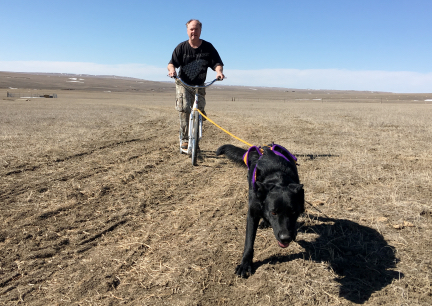 Texas Tea Pulling Deron on Scooter 2017-03-04
