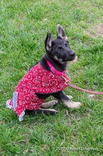 Teanna Katy Trail Halloween Bike Bash 2017-10-28