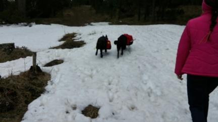 Blackhills Backpacking 2016-04-15