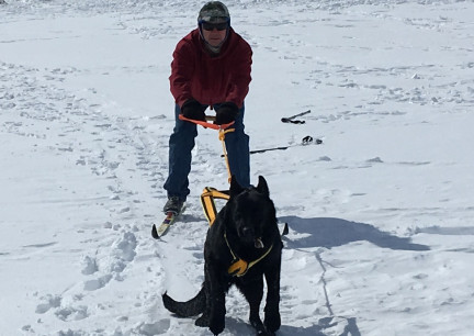 Deron Skijor with Texas Tea 2018-02-28