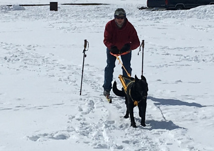 Deron Skijouring with Texas Tea 2018-02-28