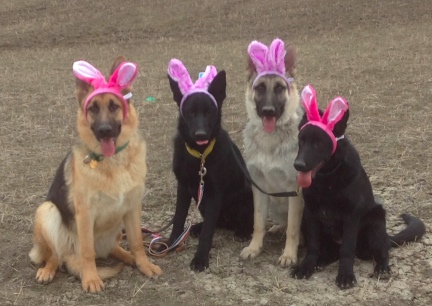 Easter 4T's 2014-03-30