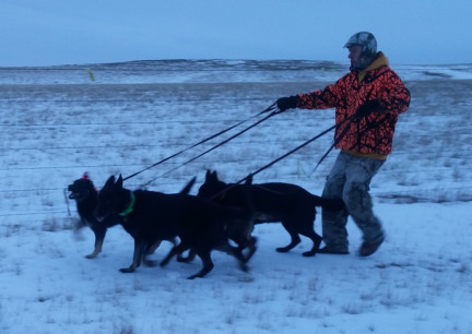 Four In Hand 2018-01-21