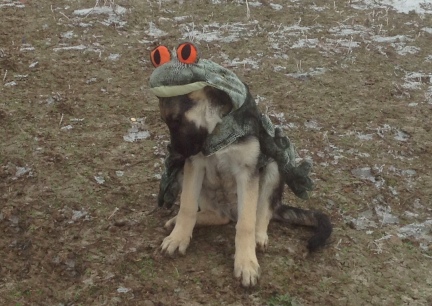 2013-10-31  Titus, the Prince~Kiss Him, You'll See