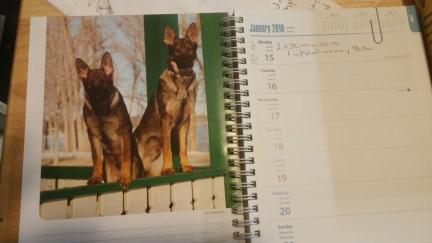GSD Calendar the Week of Tikuah 2018.01.16