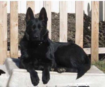 Isla von Heilig Tabaliah Dam