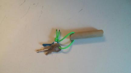 Key Chain for Dog Trick