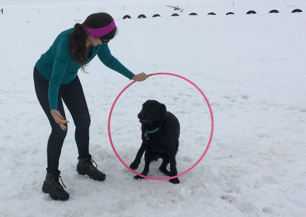 Marna.Turquoise Jump Thru Hoop 2018-03-03