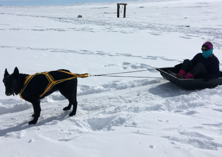 Marna Sledding with Texas Tea 2018-02-28