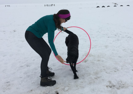 Marna Turquoise Jump Through.Hoop 2018-03-03