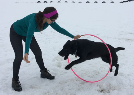 Marna Turquoise Jump Through Hoop 2018-03-03