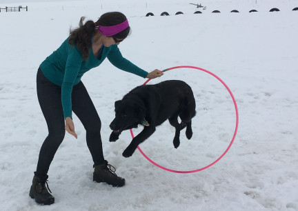 Marna Turquoise Jump Thru Hoop 2018-03-03