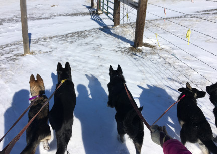 Morning Walk 2018-02-04