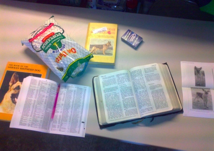 Picking OUt Puppy Names