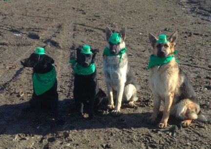 St. Pat's Pose 2014-03-16