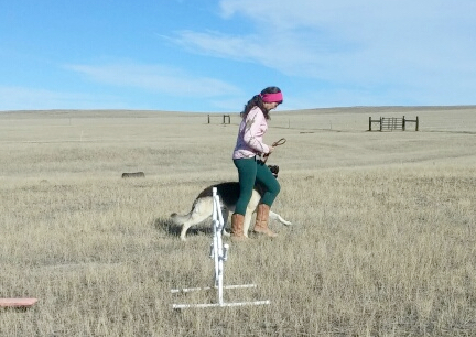 Titus Heel 2016-11-01