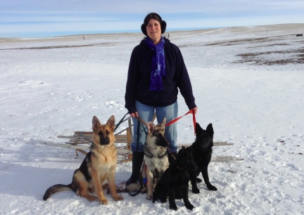 The T Team 2014-01-07