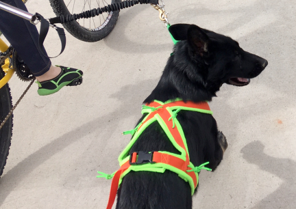 Tabaliah's New Biking Harness