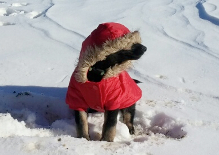 Tabaliah Dressed For Snow 2016-12-04
