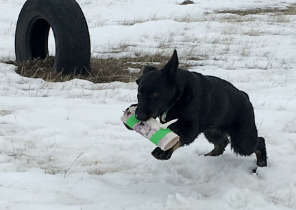 Tabaliah Fetch Newspaper