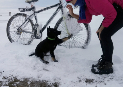 Tabaliah High Five 2016-12-17