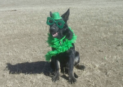 Tabaliah Kiss Me 2017-03-18