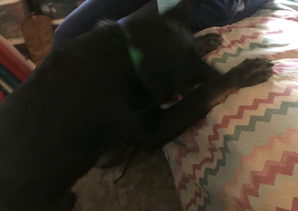 Tabaliah Praying 2017-02-27