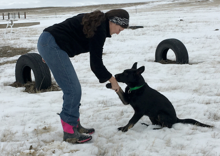 Tabaliah Shake Hands 2017-01-10