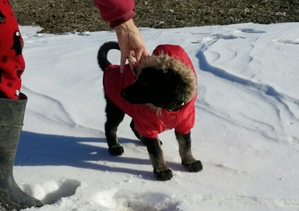 Tabaliah Snow Suit 2016-12-04