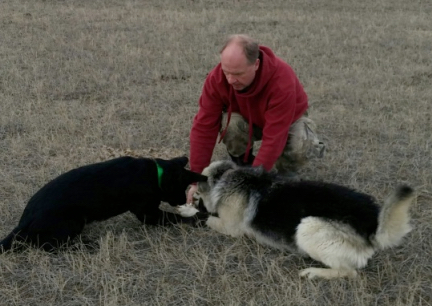 Tabaliah Titus Down 2017-02-27