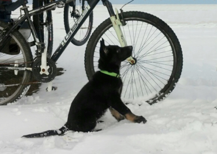 Tabaliah 10 weeks 2016-12-20