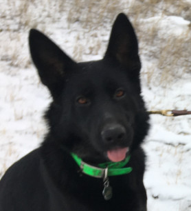 Tabaliah Head Study 2018-01-29