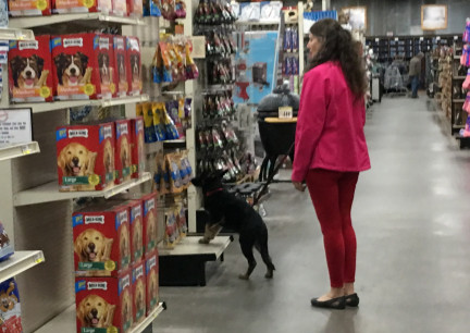 Teanna Black Friday Shopping 2017-11-24